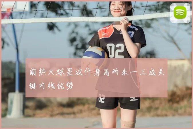 前热火球星波什身高两米一三成关键内线优势