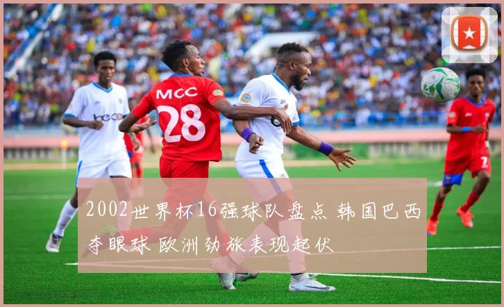 2002世界杯16强球队盘点 韩国巴西夺眼球 欧洲劲旅表现起伏