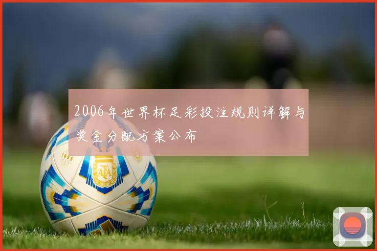 2006年世界杯足彩投注规则详解与奖金分配方案公布