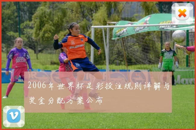 2006年世界杯足彩投注规则详解与奖金分配方案公布