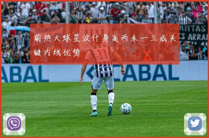 前热火球星波什身高两米一三成关键内线优势